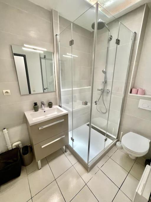 Apartament Varsovia/Parking Privee/Calme Carcassonne Zewnętrze zdjęcie